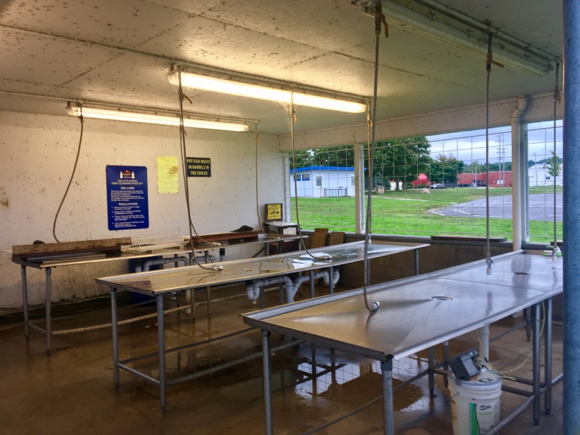 2017-9-3 fish cleaning station clinical